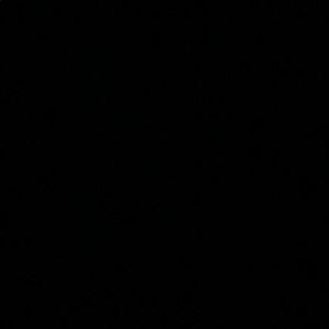 Meet your Posher, Rusty